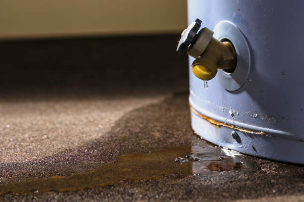 Best Water damage cleanup near me  in Middleton, WI