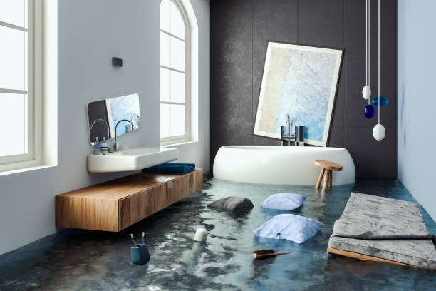 Best Mold removal after water damage  in Middleton, WI