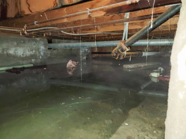 Best Emergency water damage restoration  in Middleton, WI