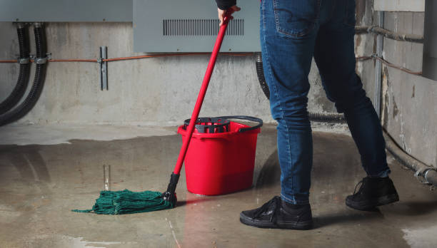 Best Water damage restoration near me  in Middleton, WI