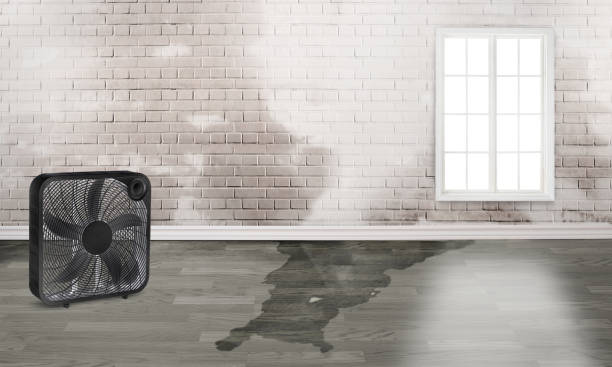 Sewage cleanup and water damage restoration in WI