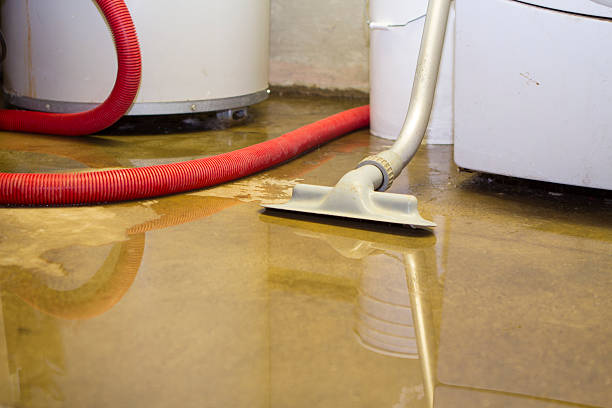 Best 24/7 water damage repair  in Middleton, WI