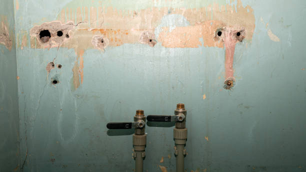 Best Ceiling water damage repair  in Middleton, WI