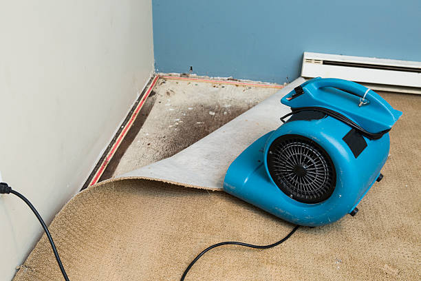 Best Flood damage cleanup  in Middleton, WI